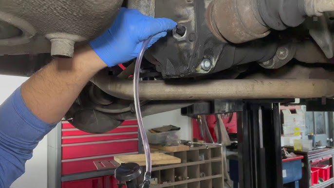 BMW E46 Differential Fluid Change